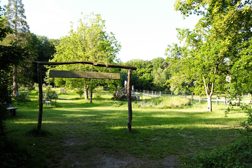 Baumpark und Naturfläche am Wildpark Malente