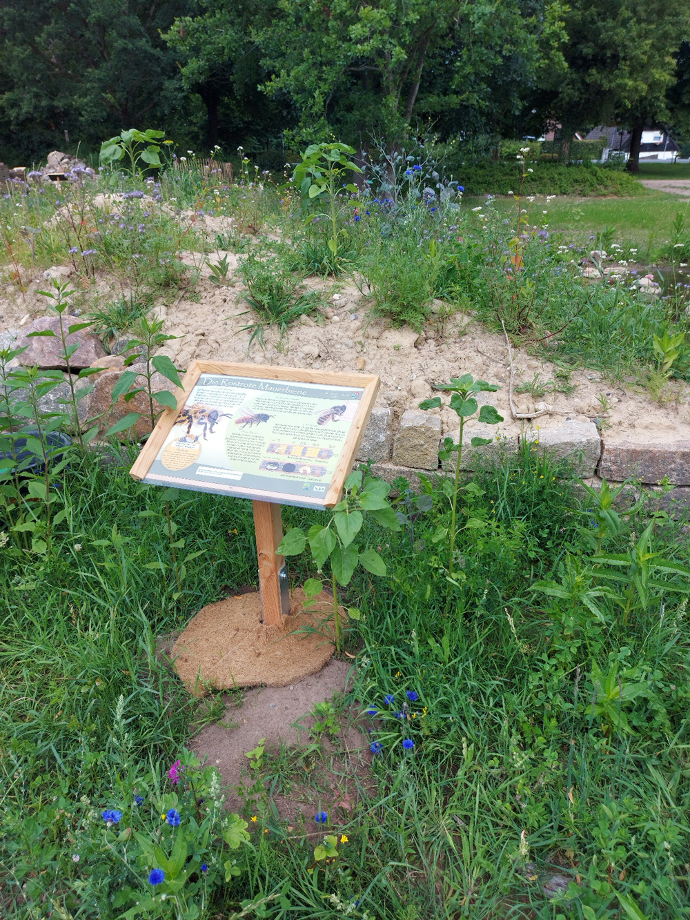 Wildbienenlehrpfad mit naturnahen Biotopen