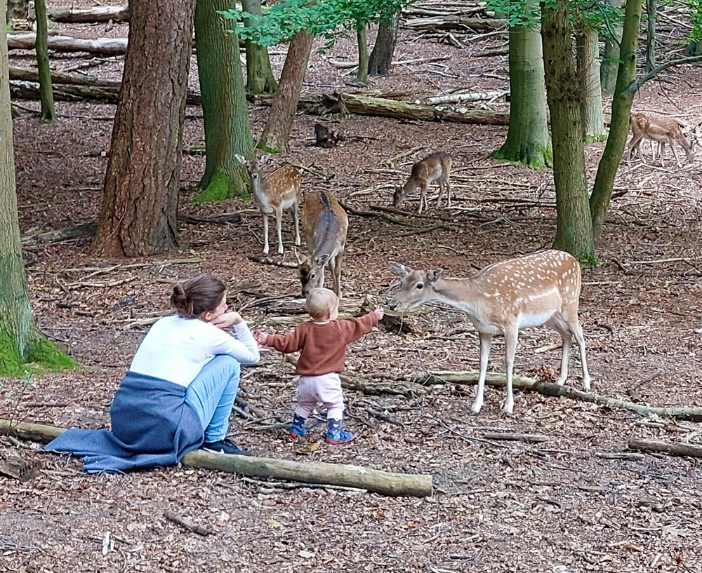 Naturerlebnis