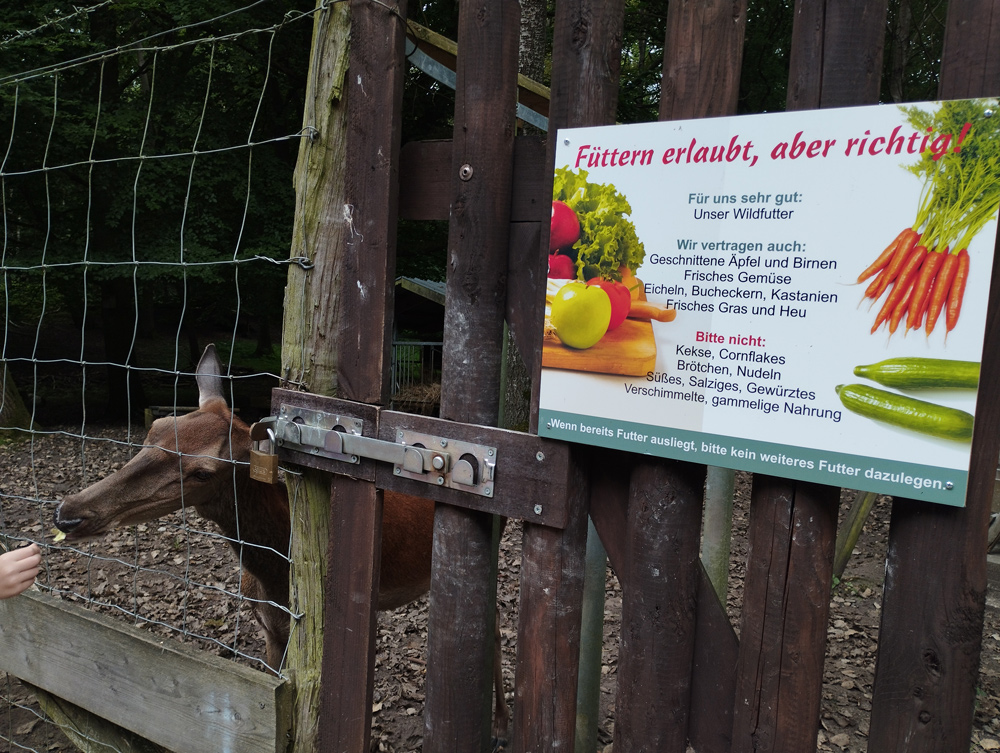 Tiere