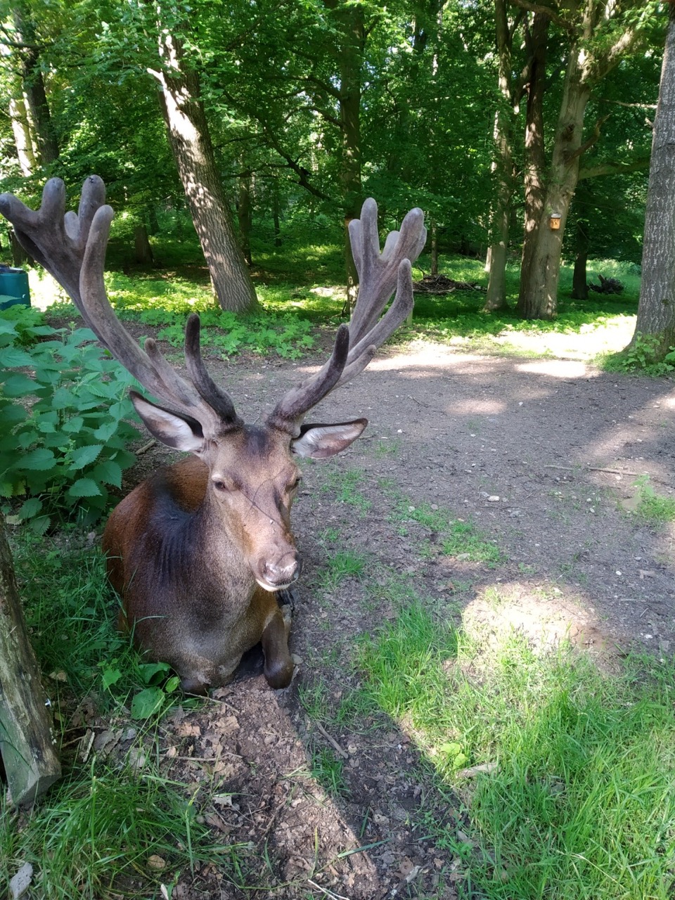 Wildpark Wildpark Malente